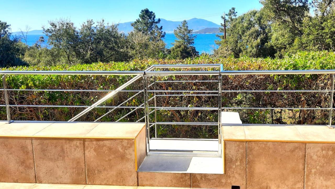 Camélia Plein Soleil Bord De * Coti-Chiavari (Corsica)
